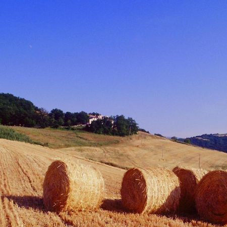Agriturismo Il Fienile Di Ca Battista Cagli Eksteriør bilde