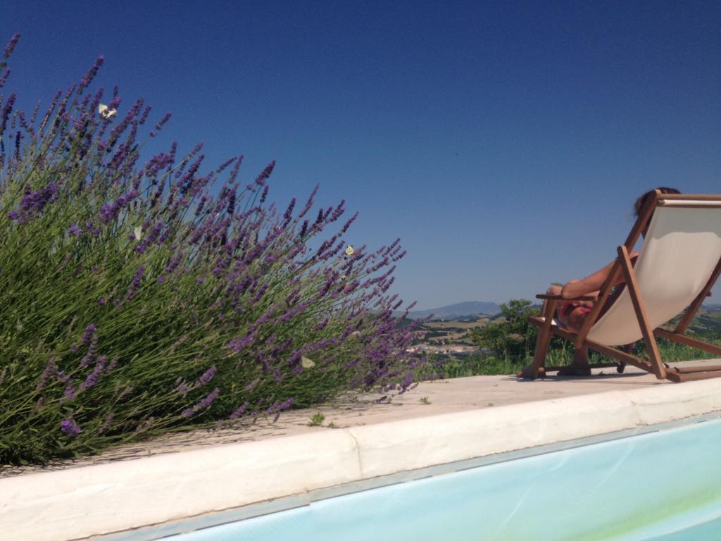 Agriturismo Il Fienile Di Ca Battista Cagli Eksteriør bilde