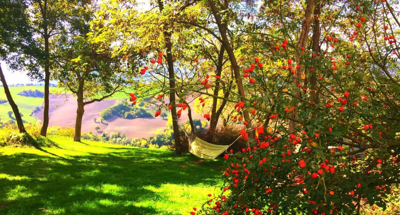 Agriturismo Il Fienile Di Ca Battista Cagli Eksteriør bilde