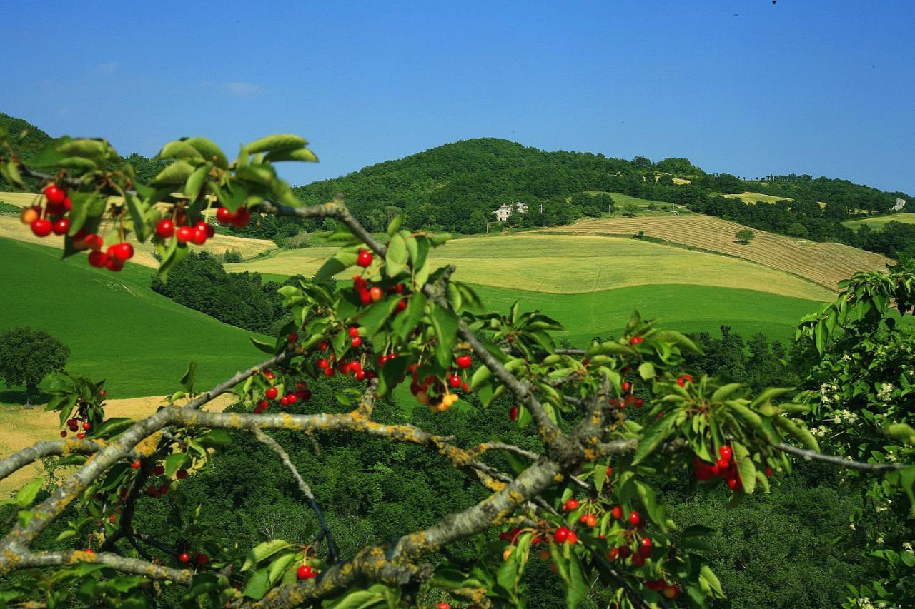 Agriturismo Il Fienile Di Ca Battista Cagli Eksteriør bilde