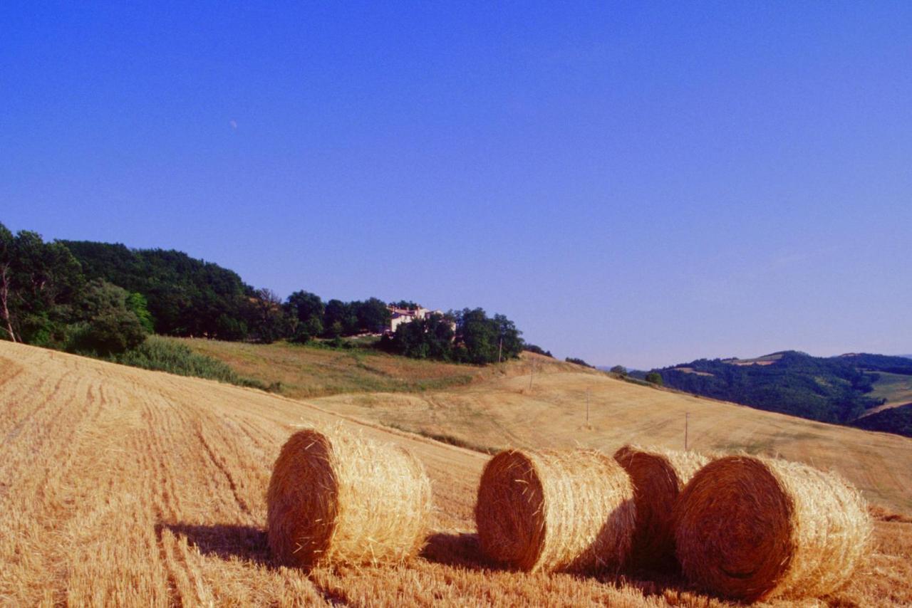 Agriturismo Il Fienile Di Ca Battista Cagli Eksteriør bilde